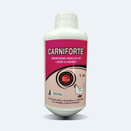 Carniforte