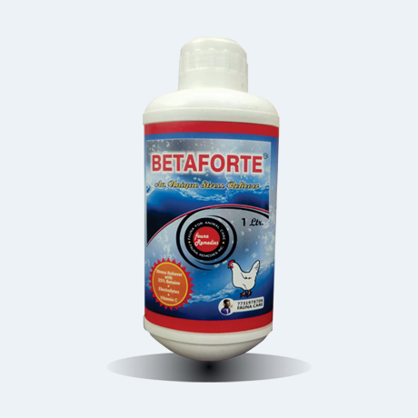 Betaforte
